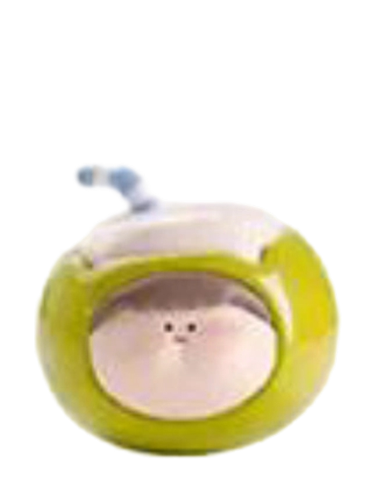 Summer Cool Coconut