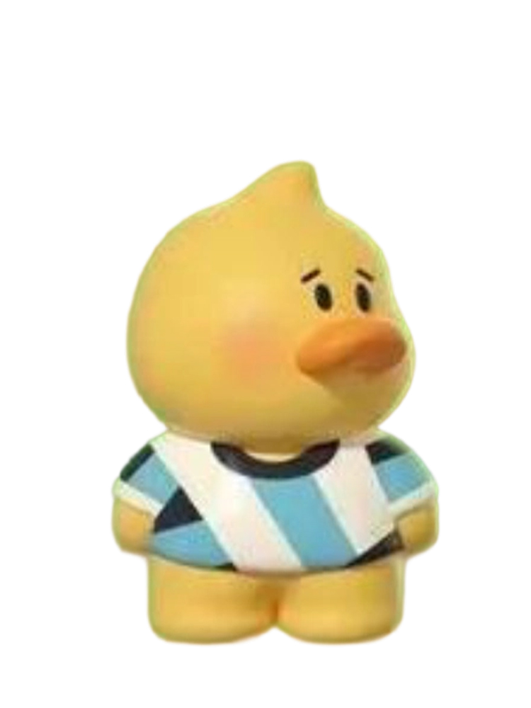 Volleyball Duck