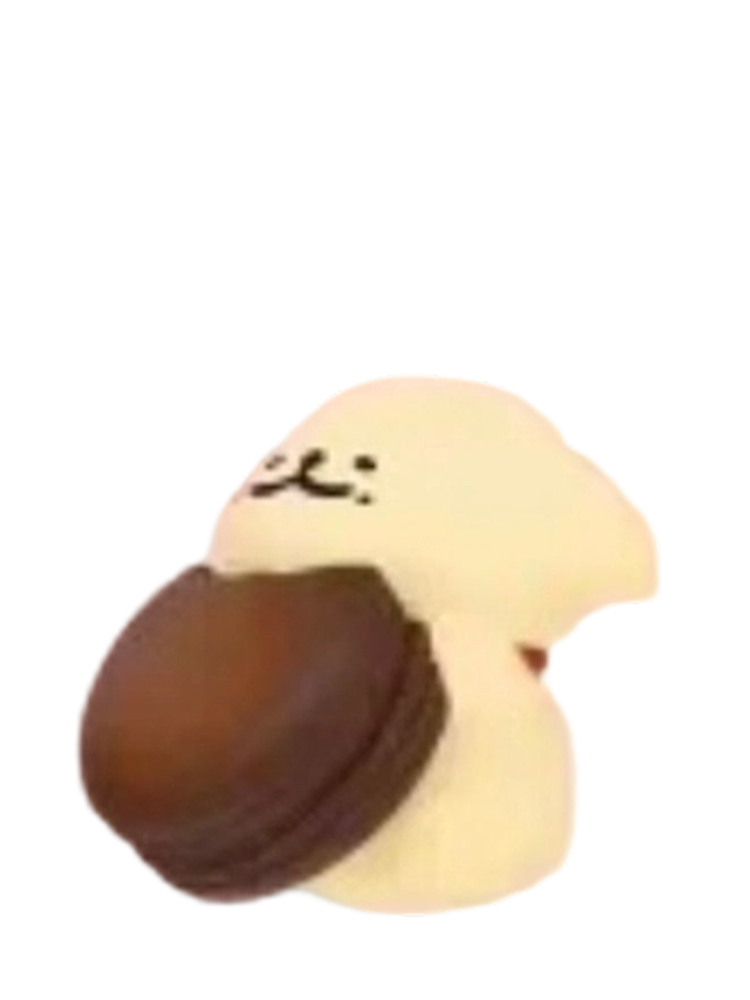 Rich Mocha Macaron