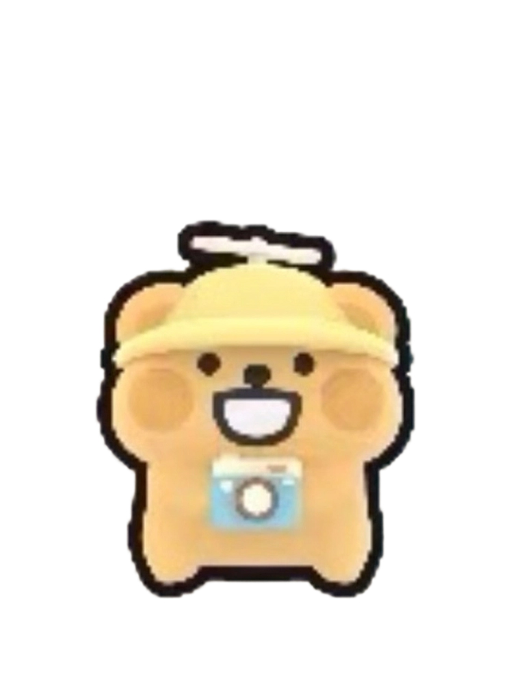 Outing Bear Bug