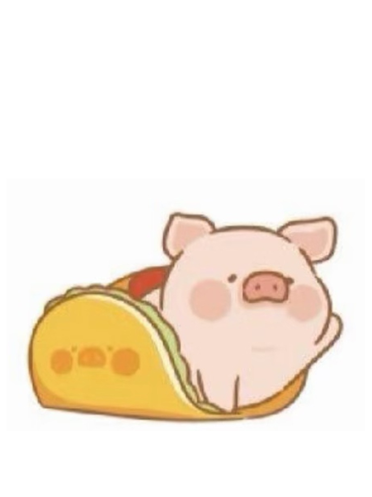 Taco Lu