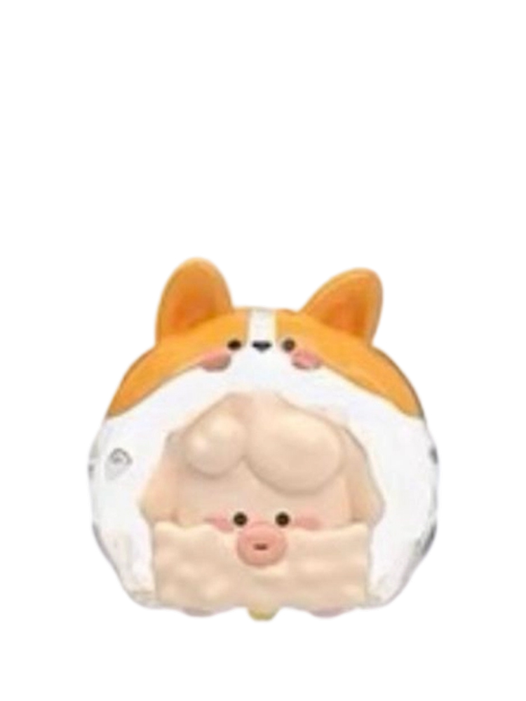 Corgi Dog