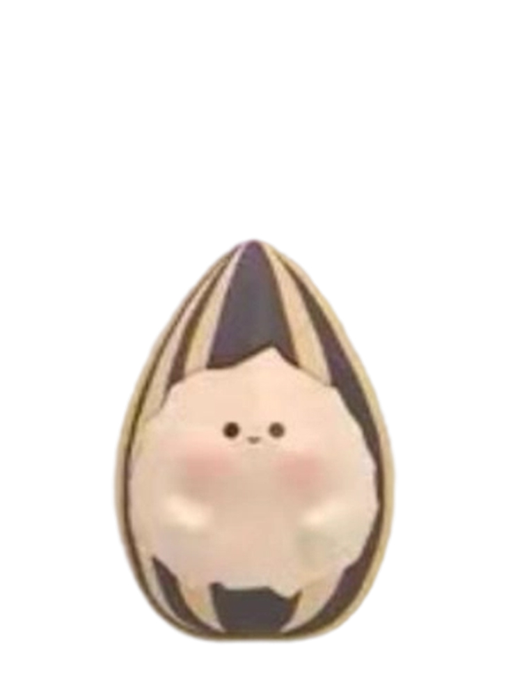 Roasted Sunflower Seed