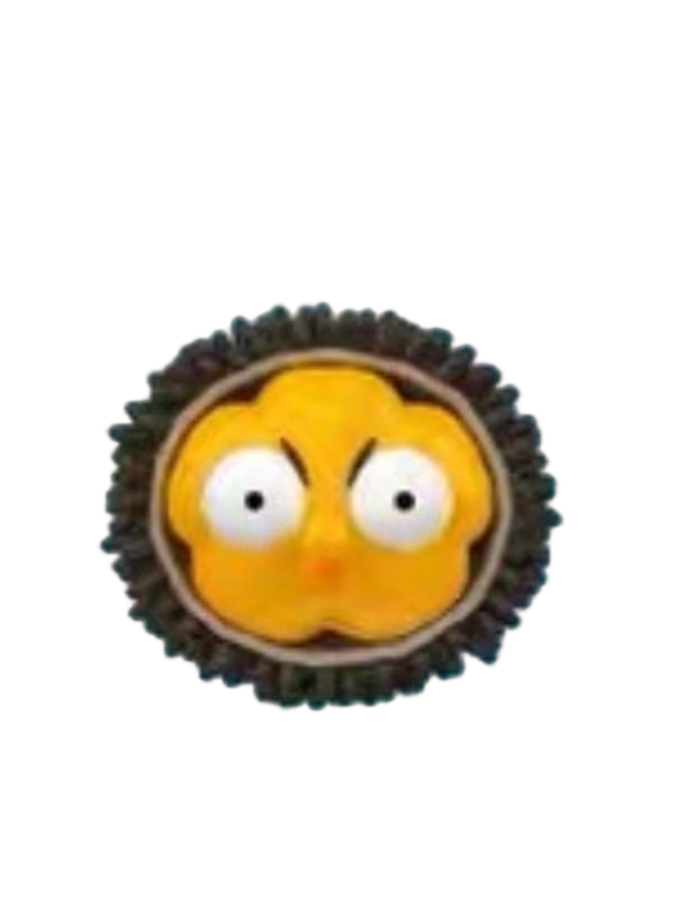 Sea Urchin