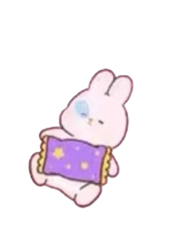 Sweet Sleep Bunny