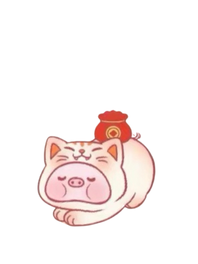 Lucky Wealth Pig