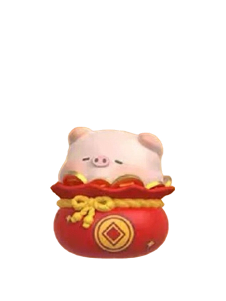 Money Bag Pig