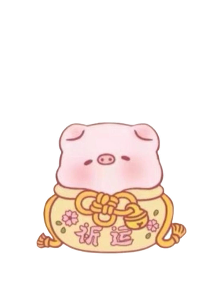Lucky Bag Pig