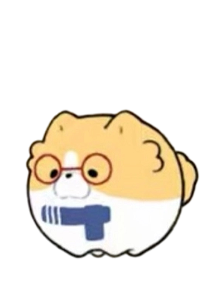 Shiba Inu Coconut