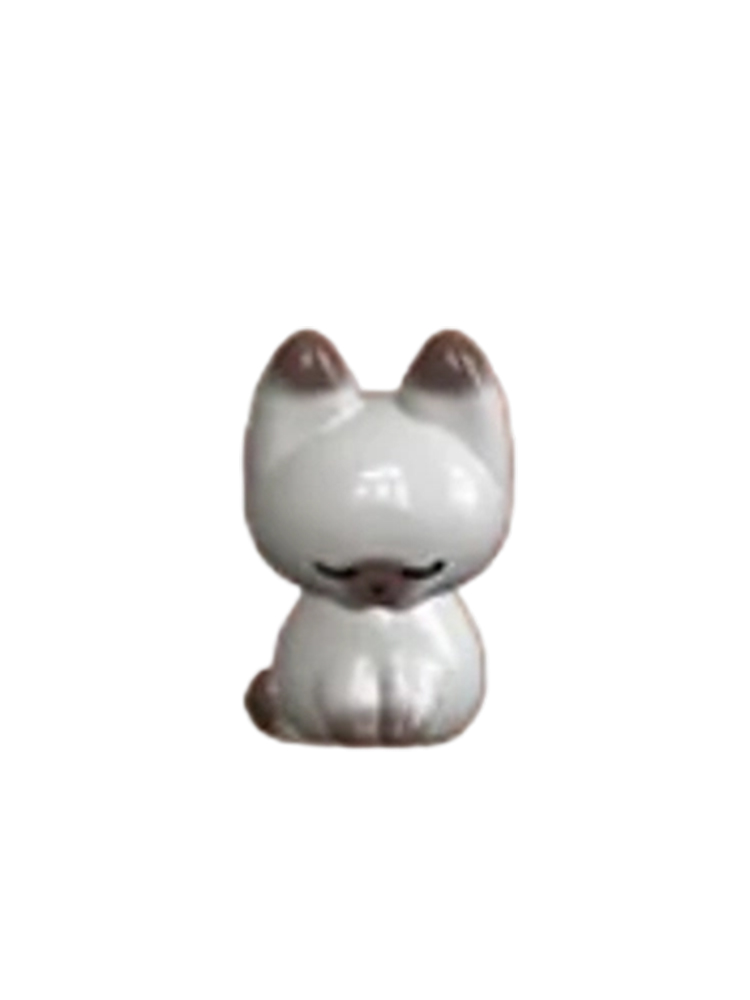 Dozing Cat Secret