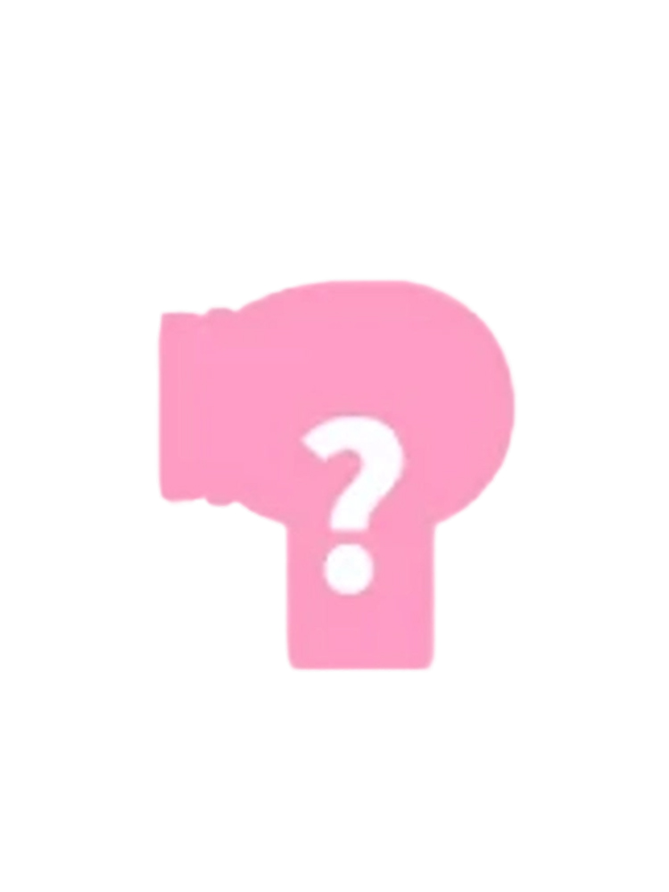 Hair Dryer Secret