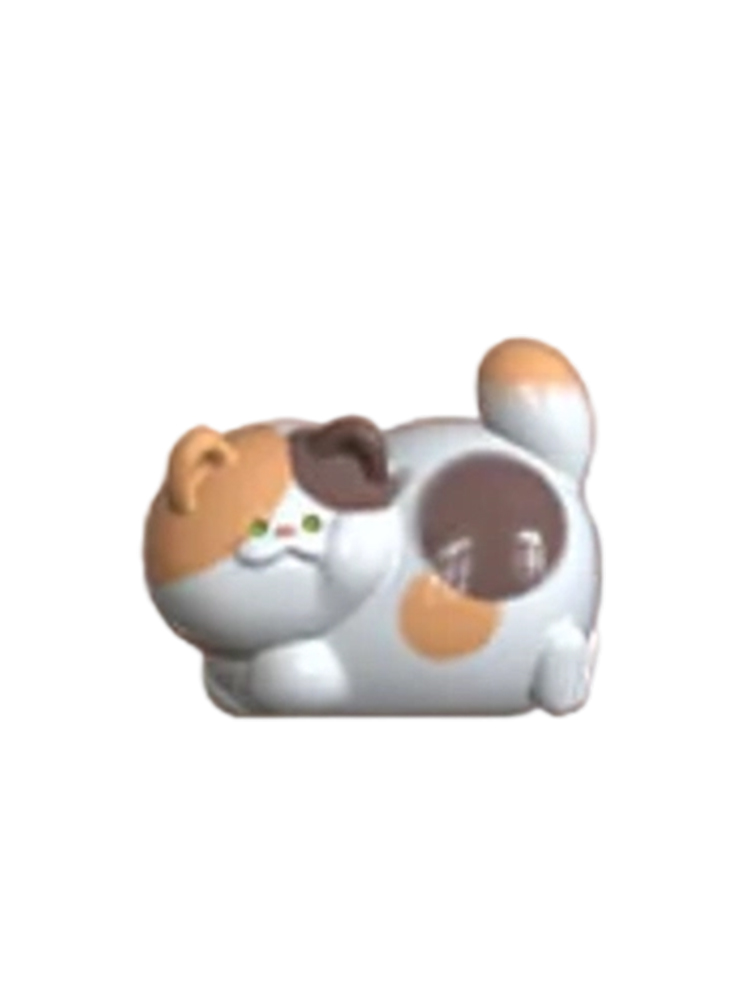 Mischievous Cat Secret