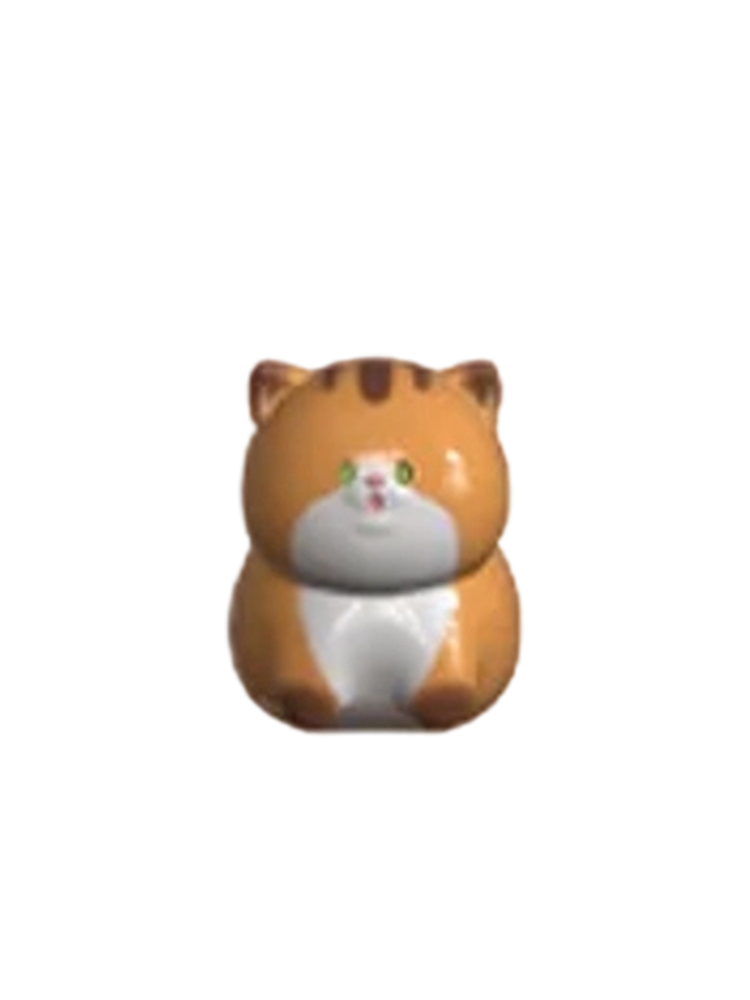 Surprised Cat Secret