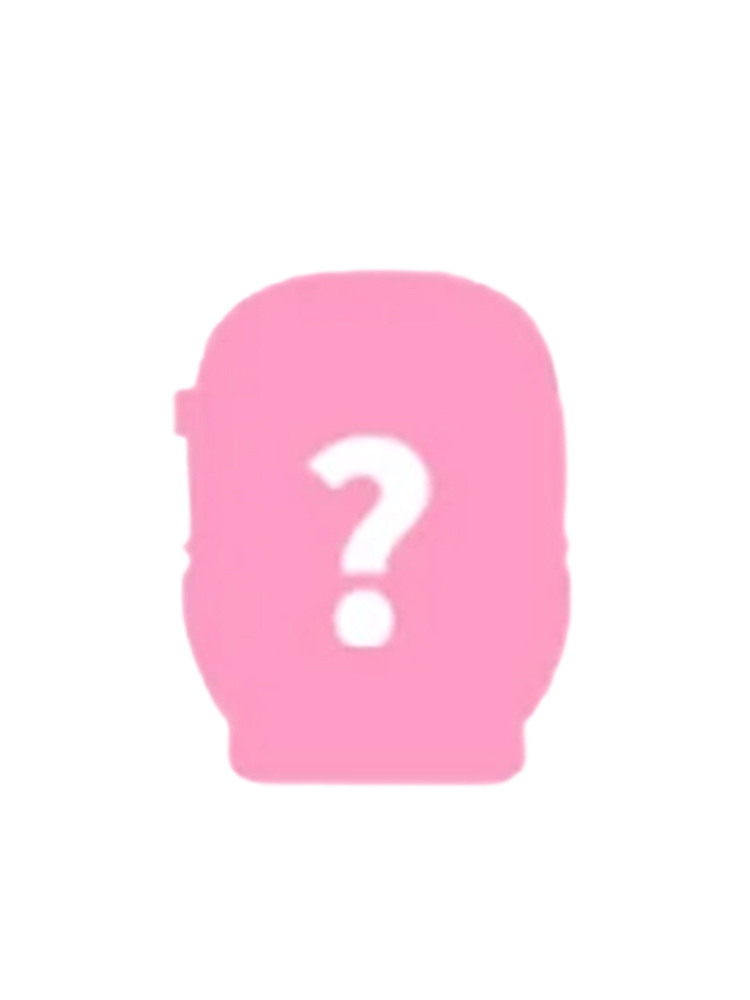 Mini Toilet Secret