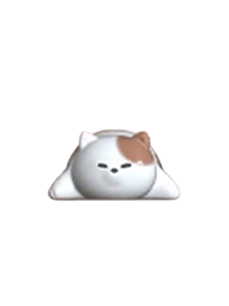Flop Cat Secret