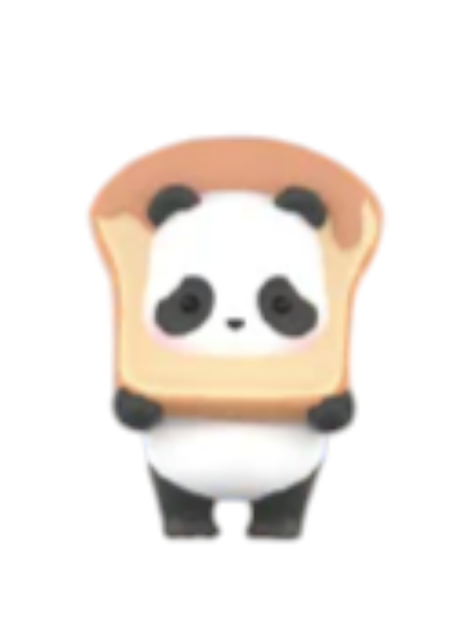 Toast Bag