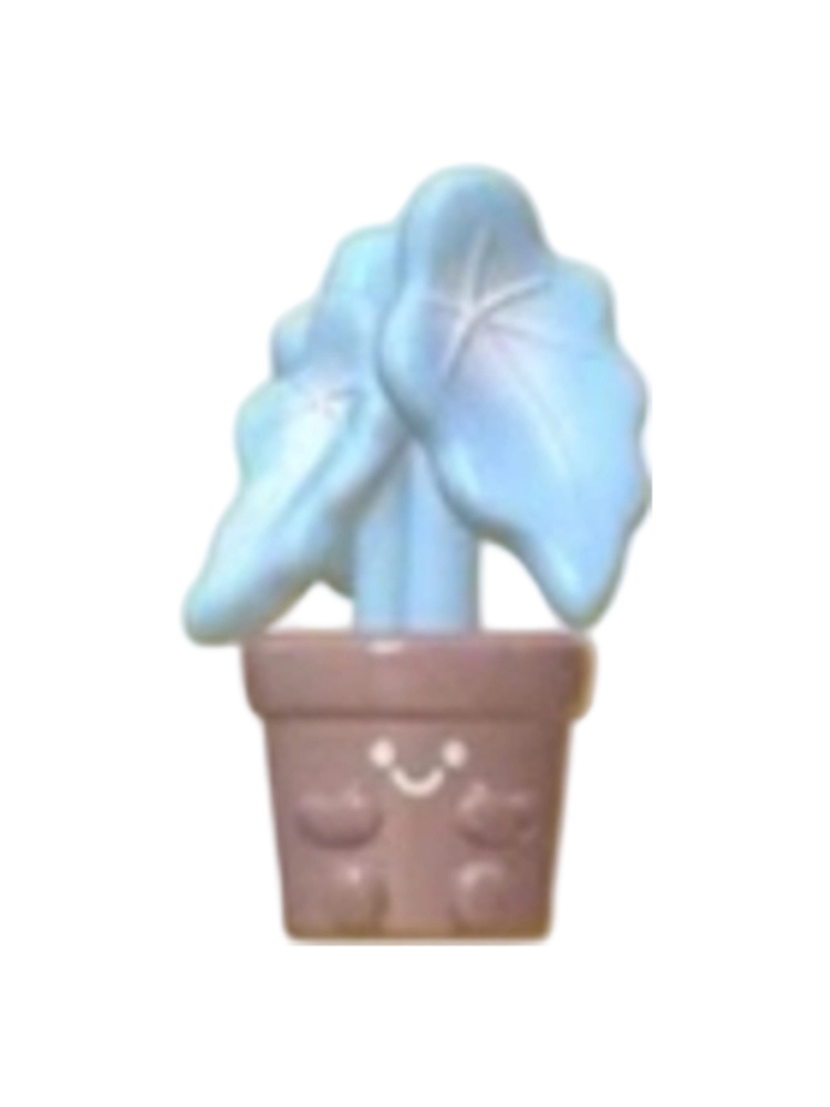 Star Begonia Special