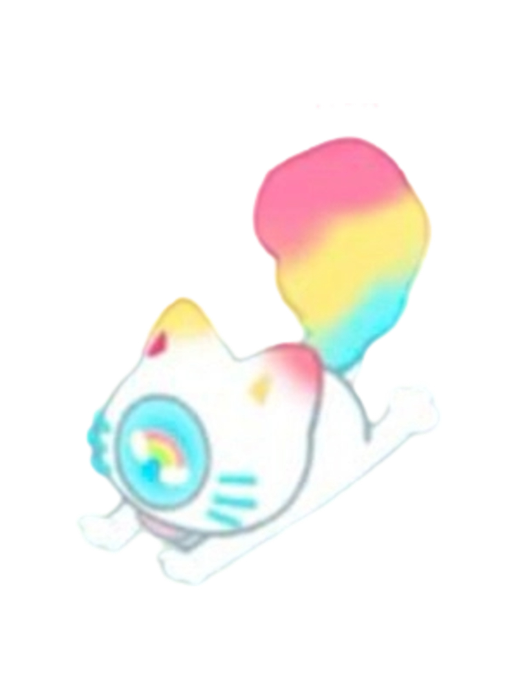 Rainbow Kitty