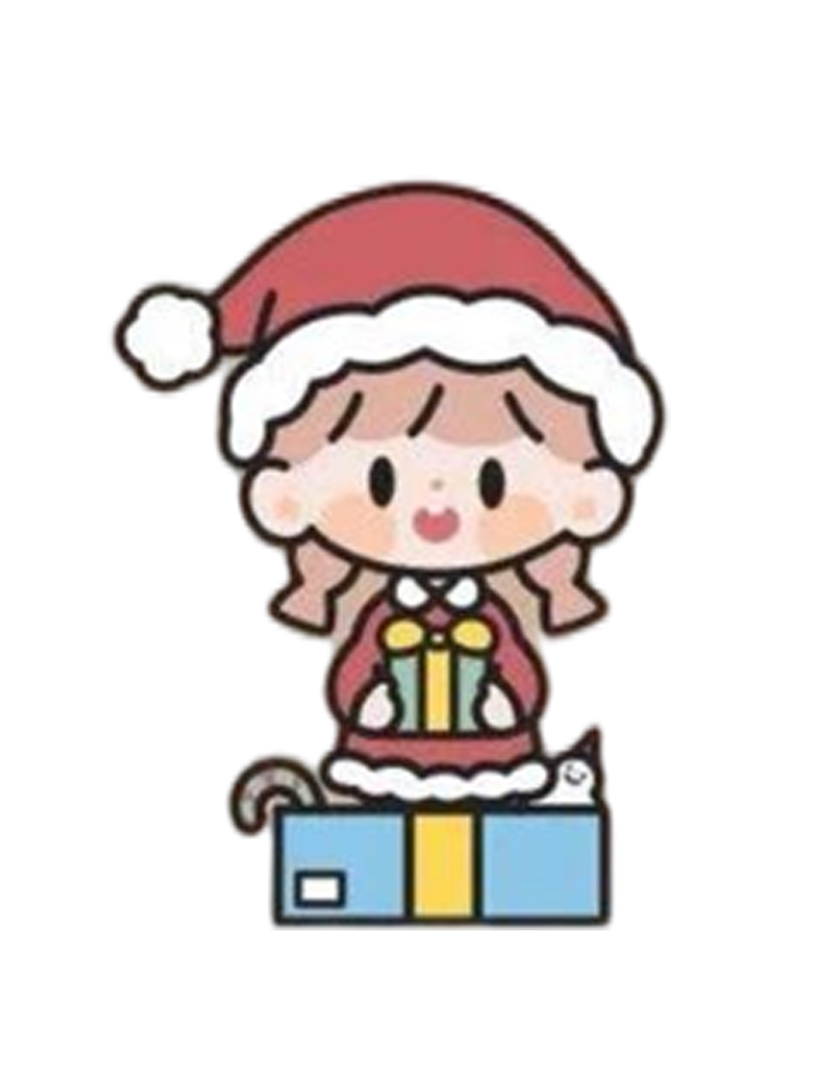 CHRISTMAS GIFT