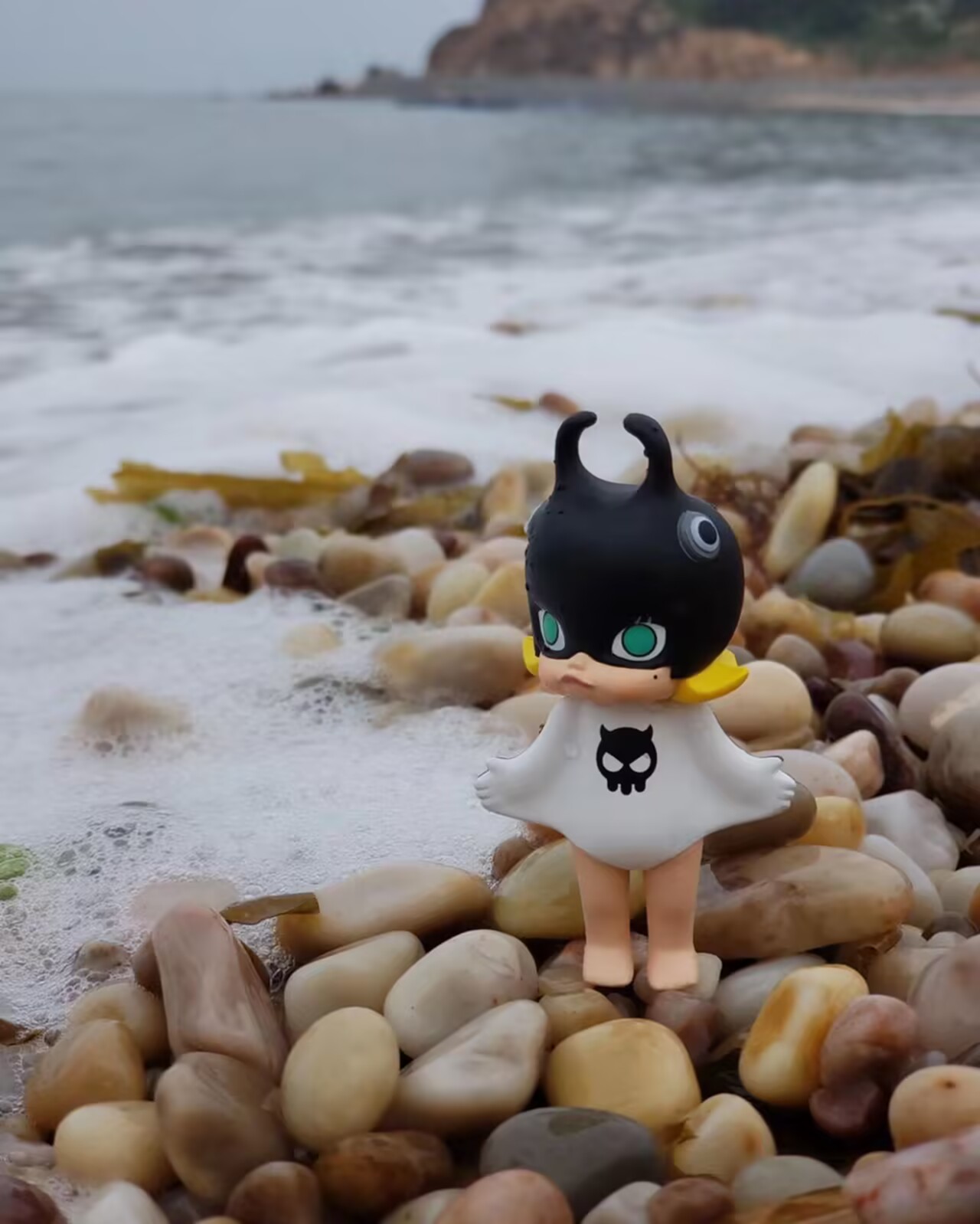 MOLLY Ocean Series
