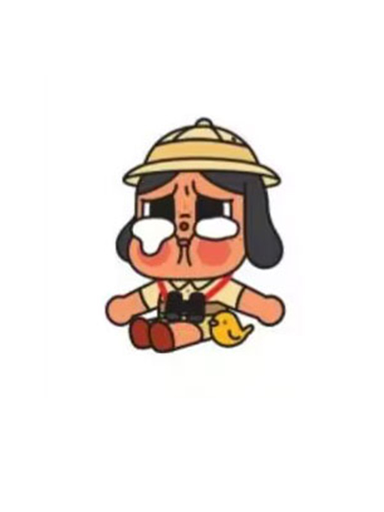 EXPLORER