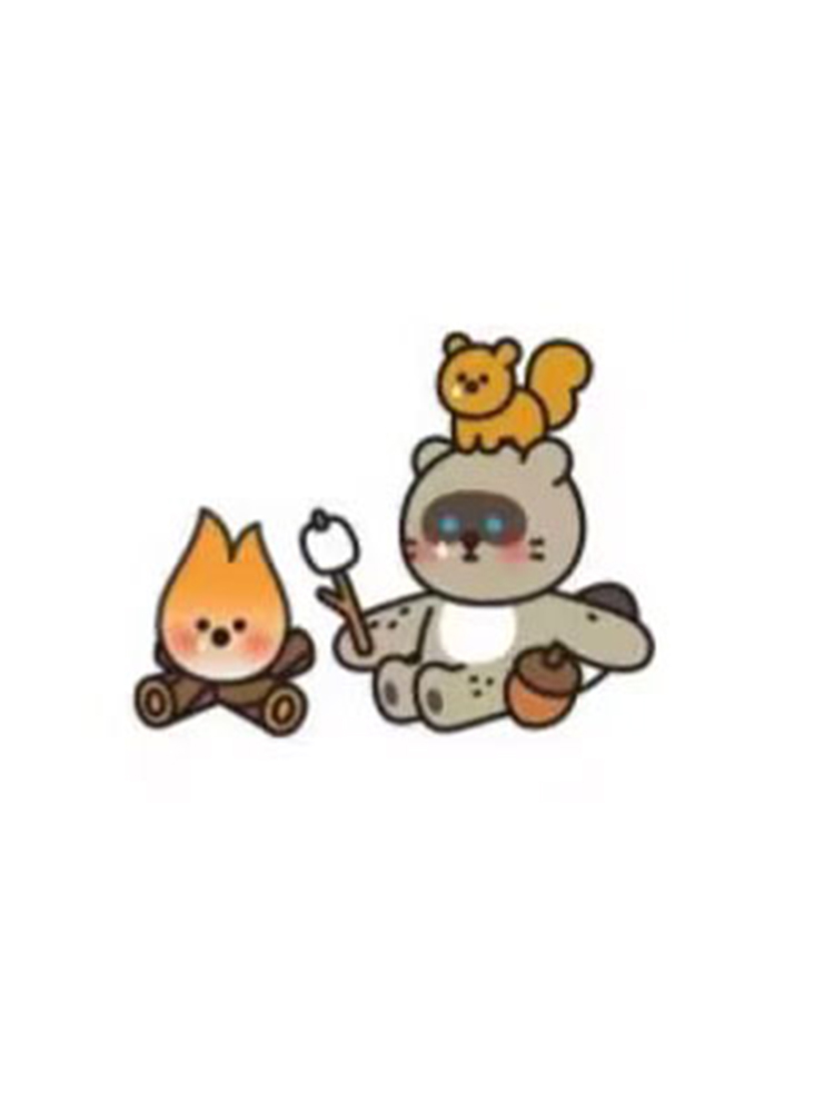 RACCOON FRIENDS
