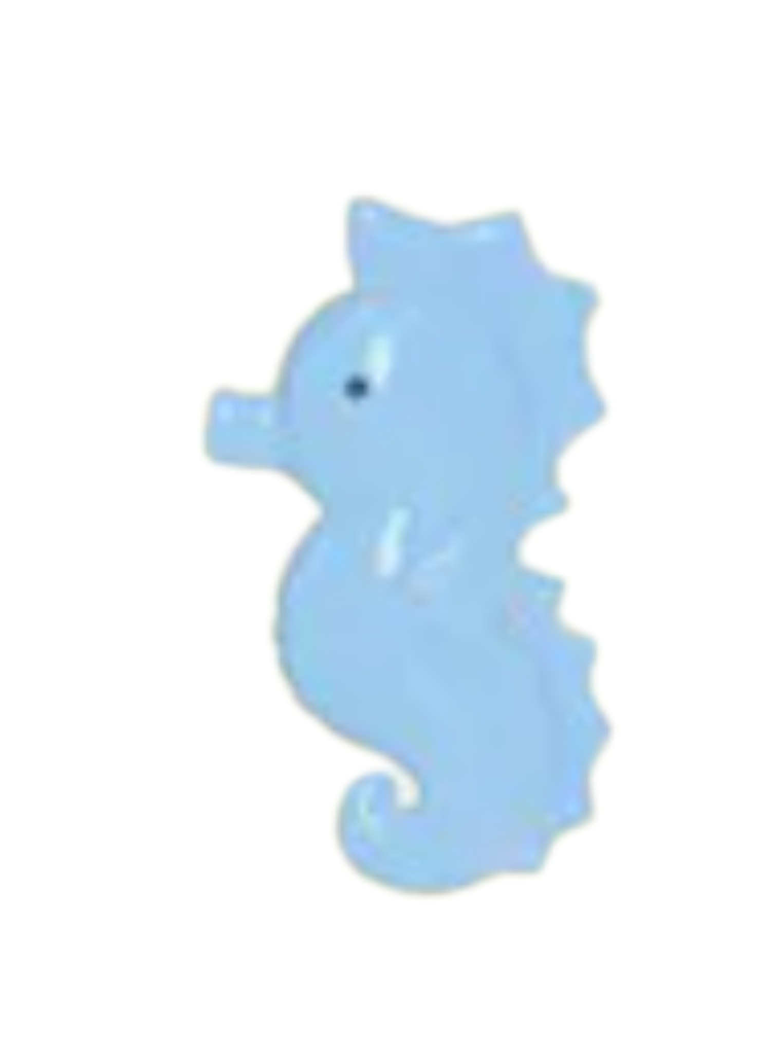 Seahorse Secret