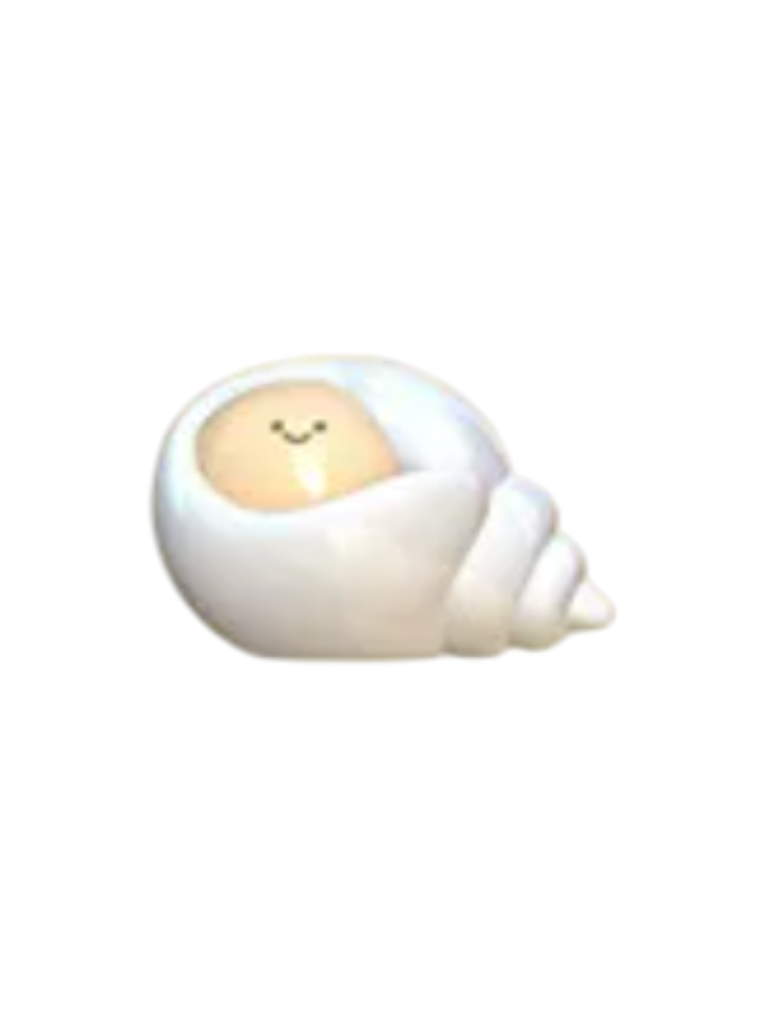 Conch Secret