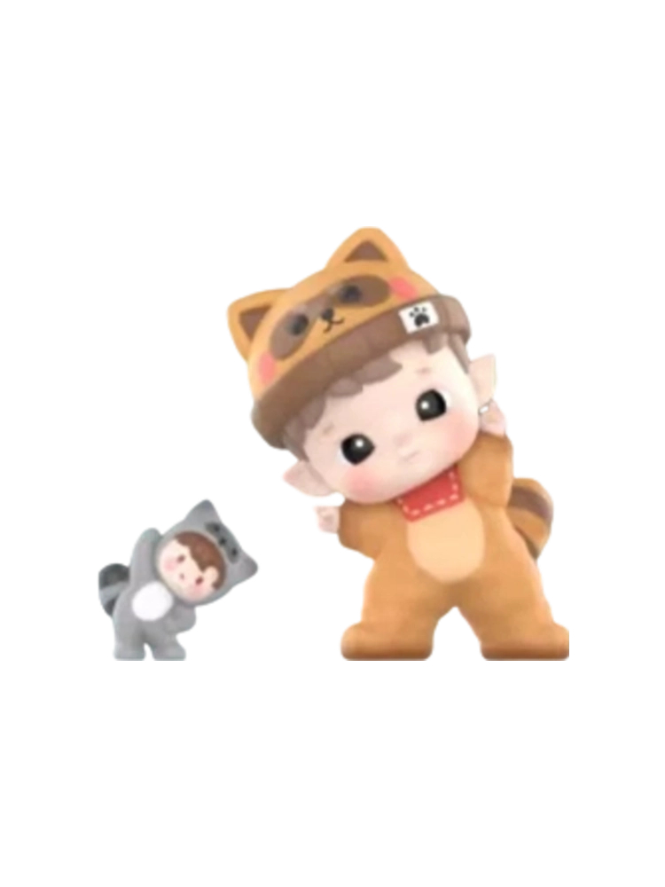 Little Raccoon
