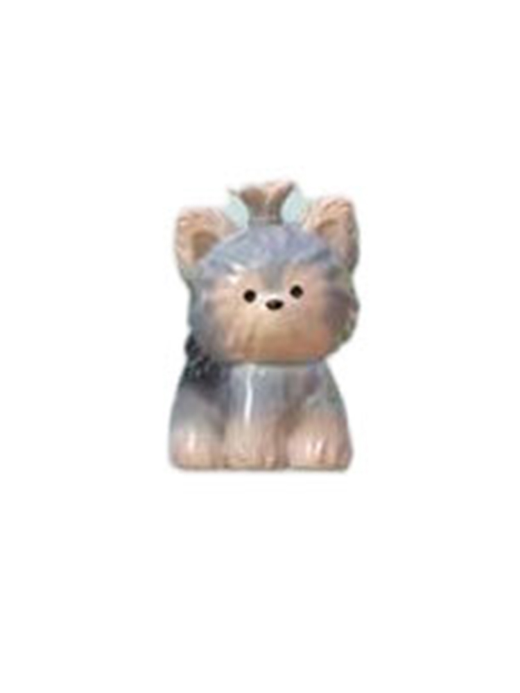 Yorkshire Terrier Secret