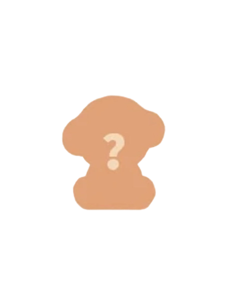 Teddy Poodle Secret