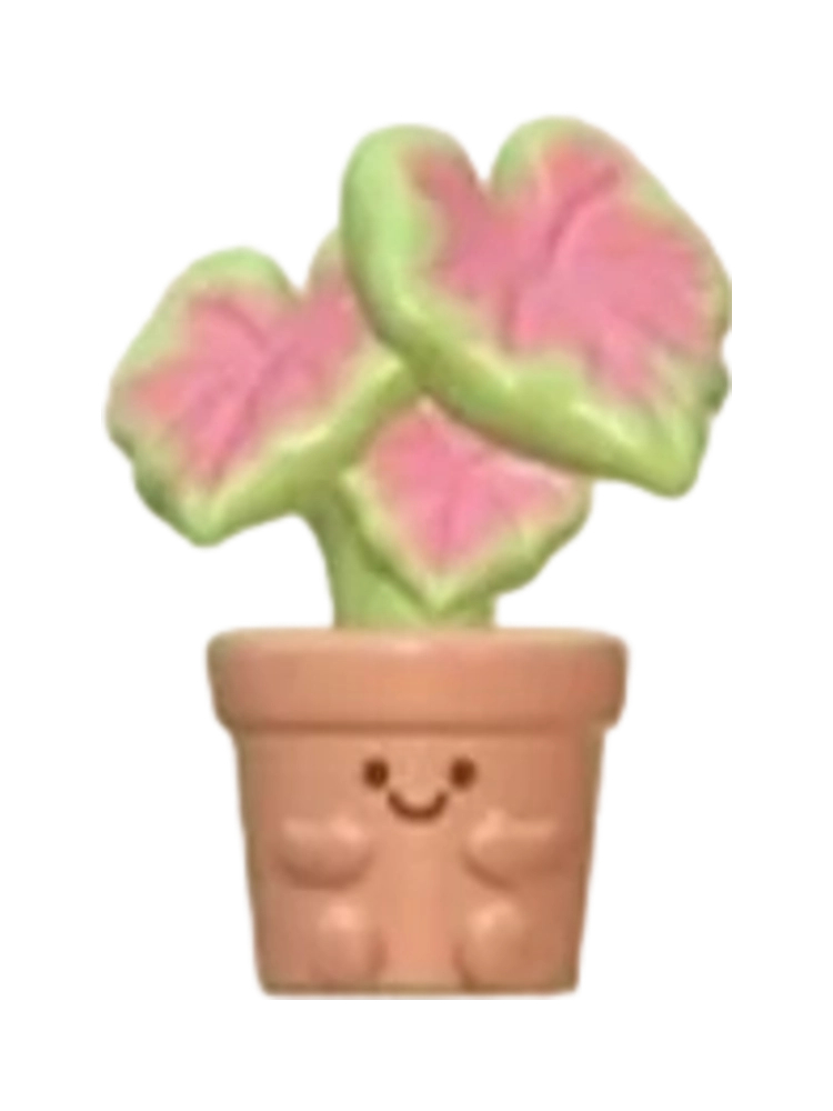 Pink Heart Caladium