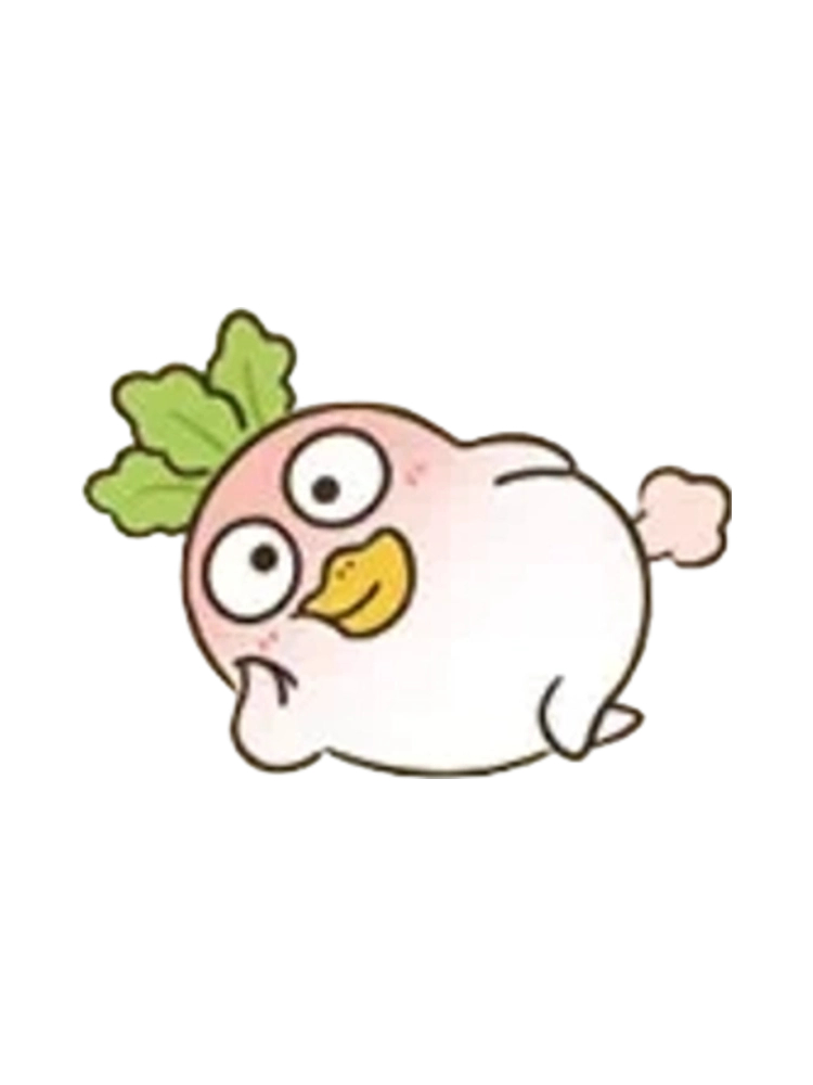 Radish Duck Special