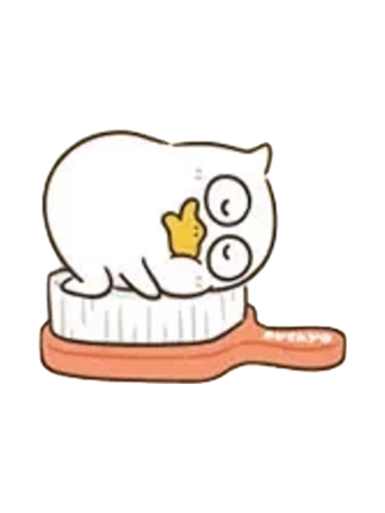 Toothbrush Duck