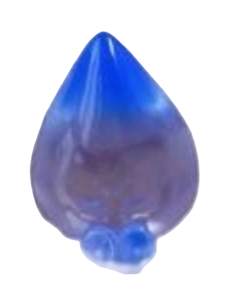 Rain Drop Secret