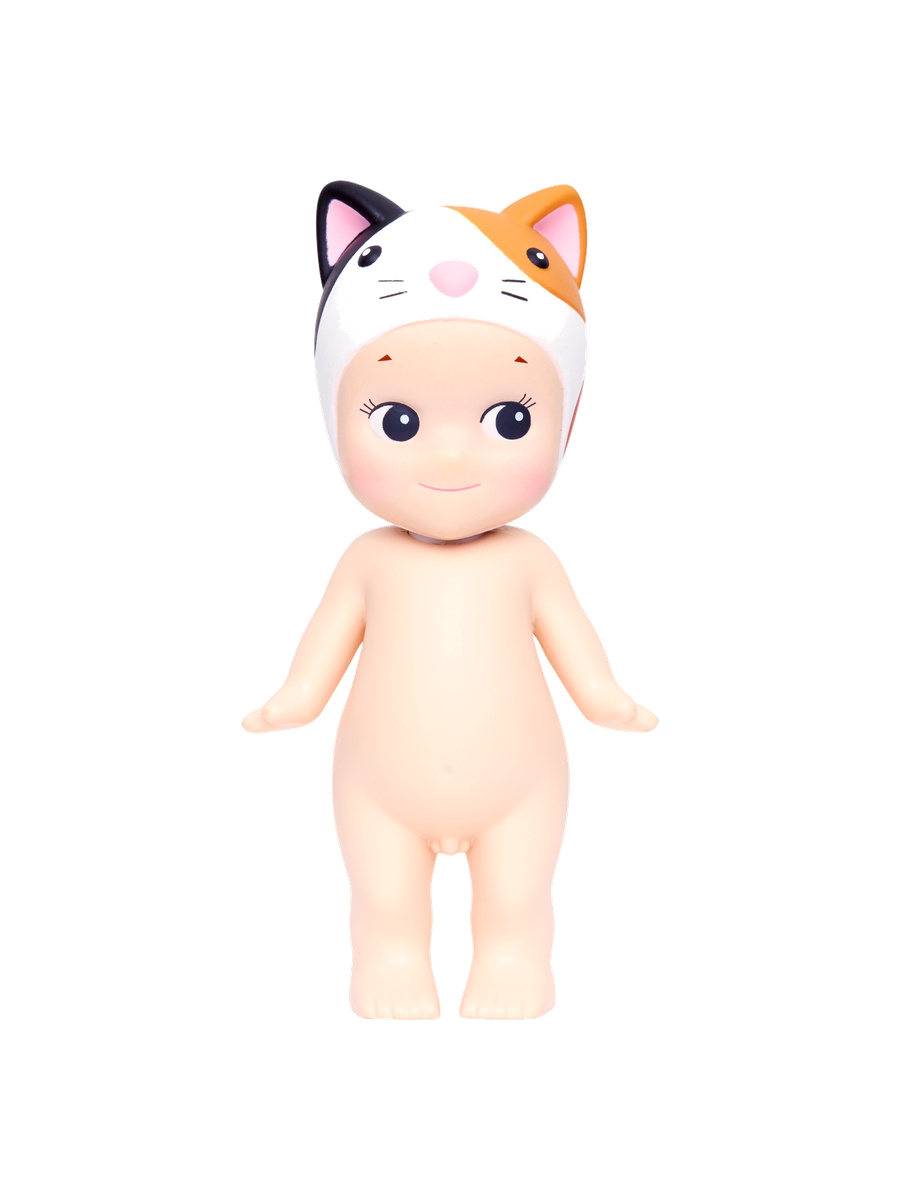 Calico Cat