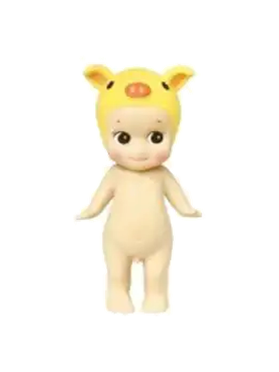 Pig