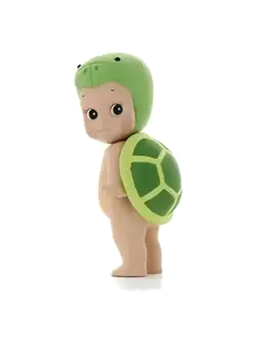 Turtle Secret