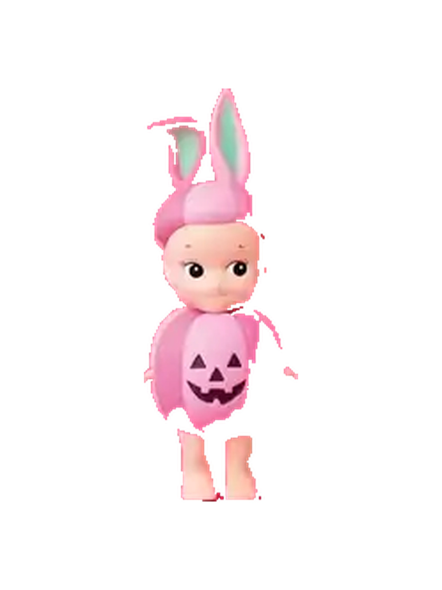 Rabbit Pumpkin (Pink) Secret