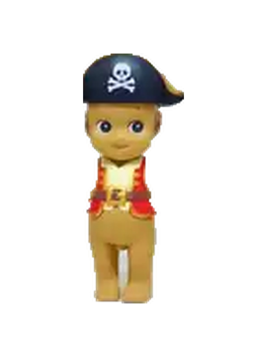 Pirate Secret