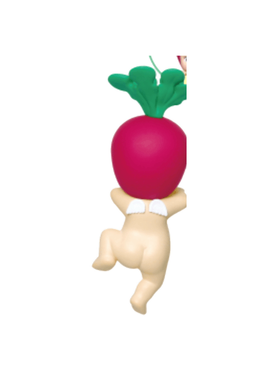 Radish