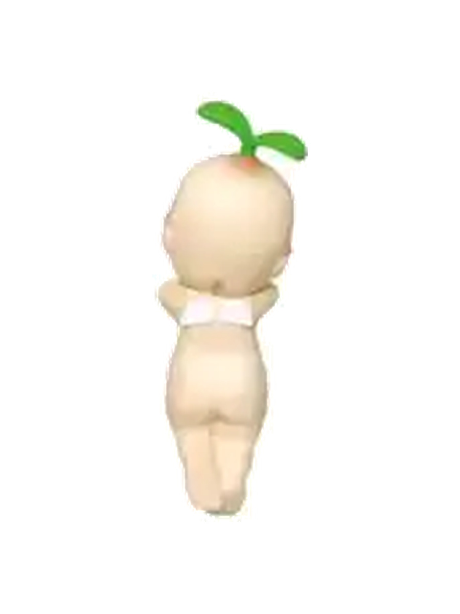 Seed Leaf Secret