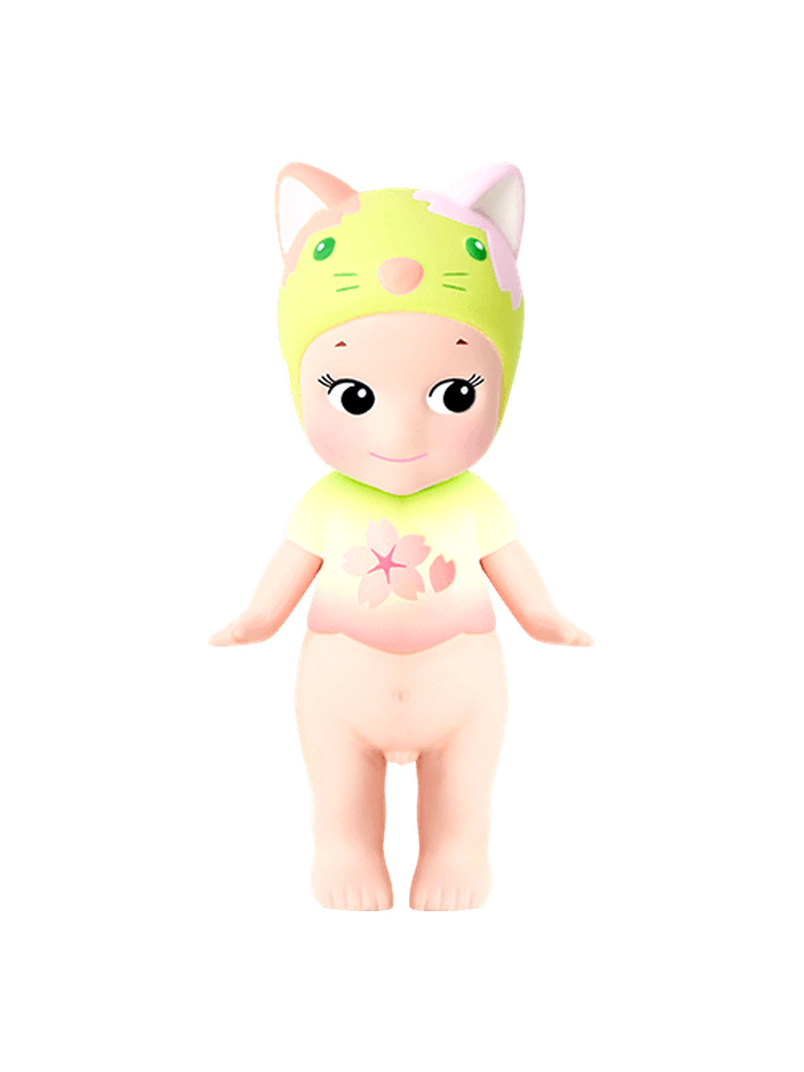 Calico Cat
