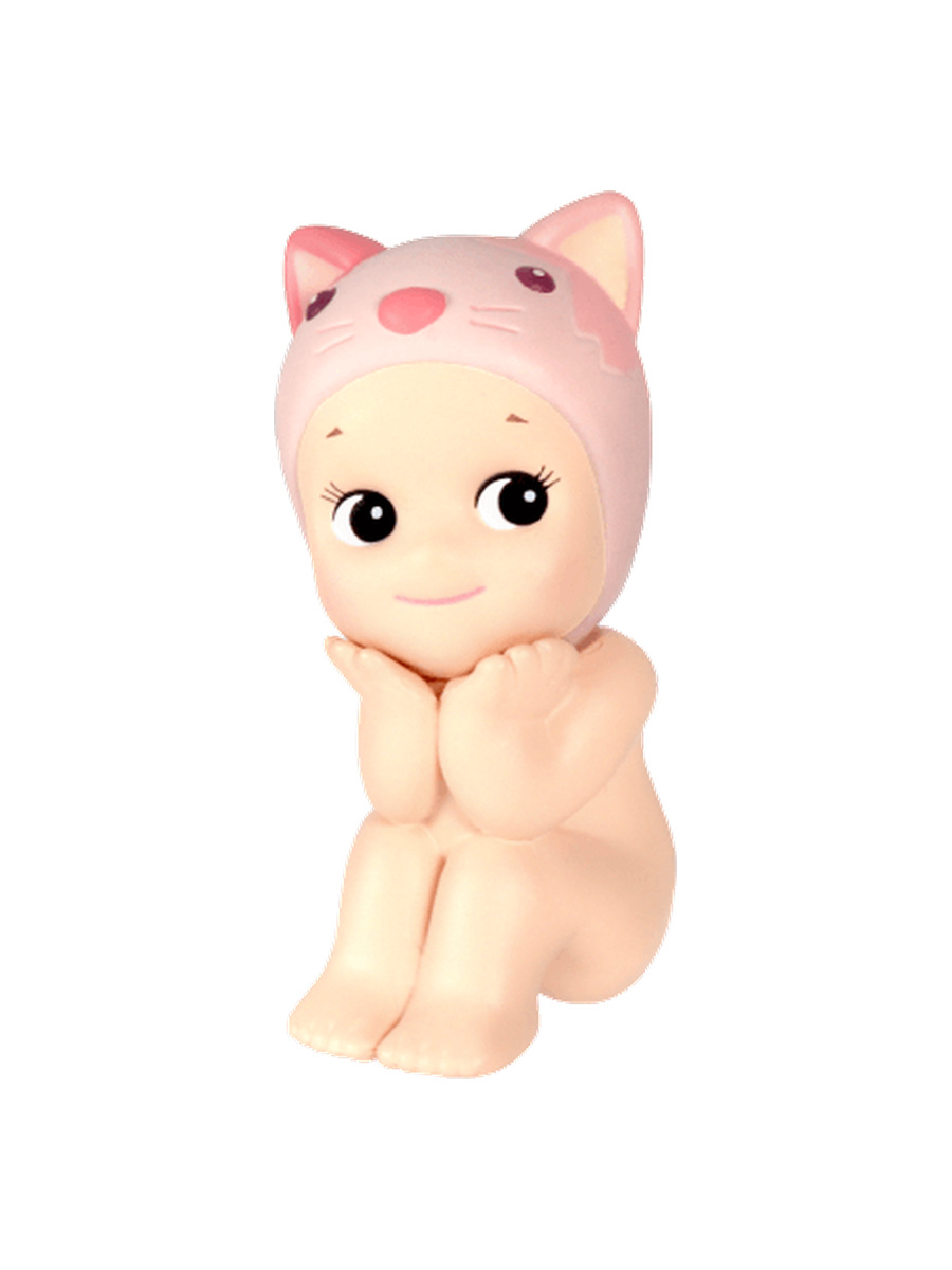 Calico Cat