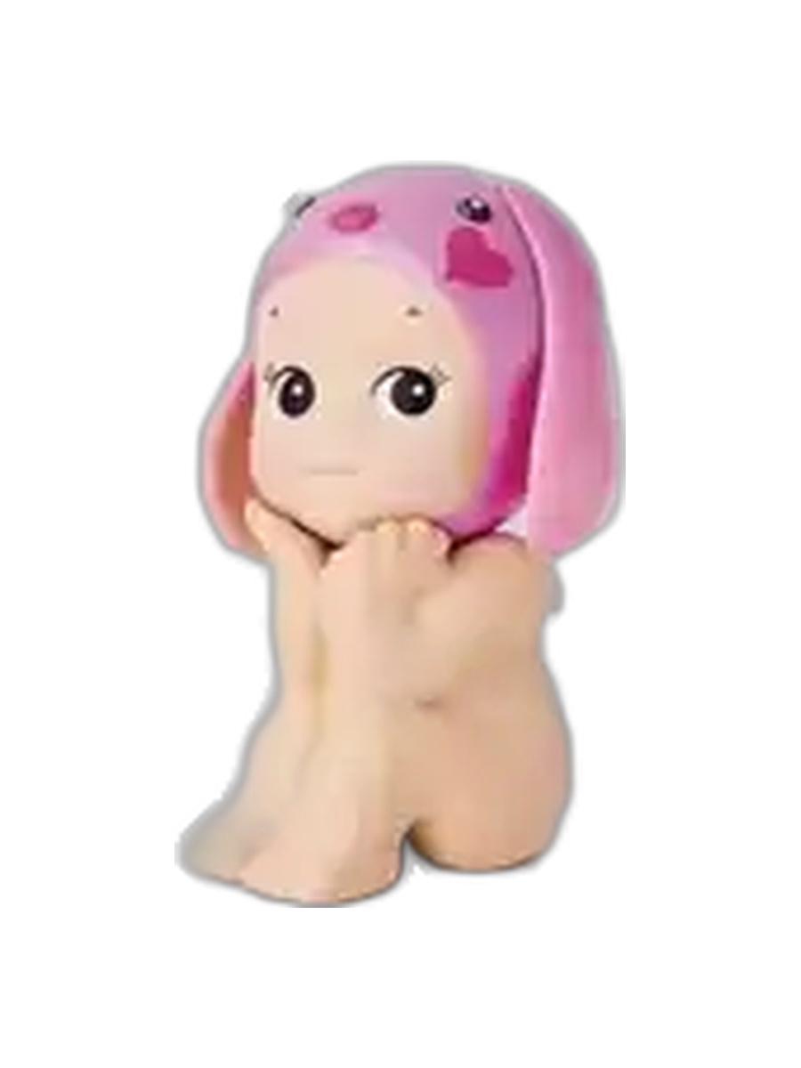 Love Lop Ear Rabbit Secret