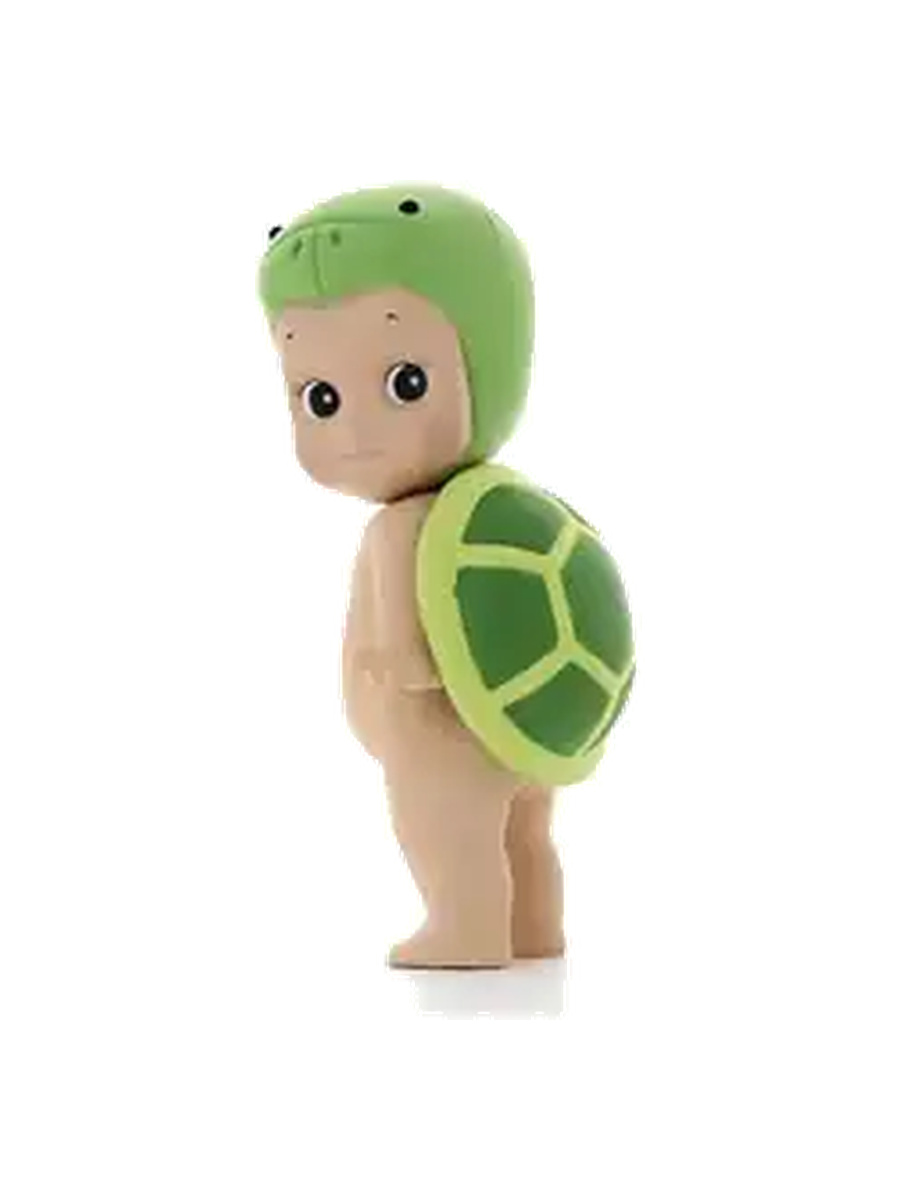 Turtle Secret