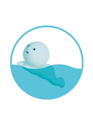 Little Smiski swimming
