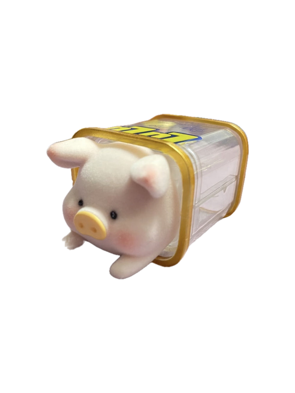 Piggy Can (Transparent) Secret