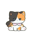 Calico Cat Duoduo