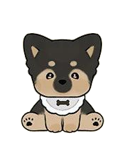 German Shepherd Xiaoqi Special